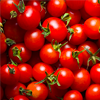 Lycopene - Reprostat Composition 